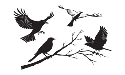 Bird set silhouette vector.