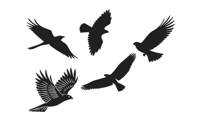 Obraz premium set of silhouettes of birds