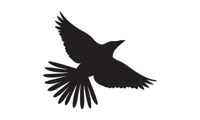 Obraz premium Bird vector 