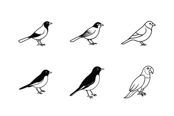 Assorted Birds