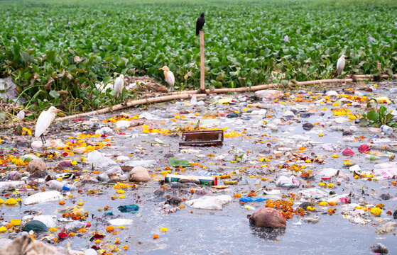 Plastic waste and environment, religious offering polluting the water of Pawai Lake in Mumbai, India, coastal cleanup day