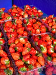 Strawberry boxes of freshly picked strawberries. fresh strawberries on the market in boxes