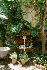 Clay pots on white wrought iron table in lush green garden