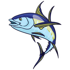 tuna fish with white background separate