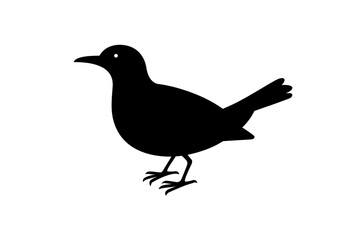 vector illustration of a bird