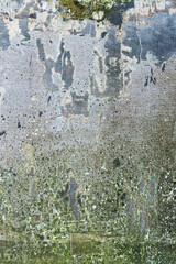 rough grunge texture on old concrete cement wall weathered covered with moss empty copy space