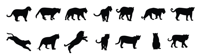 jaguar animal vector silhouettes design