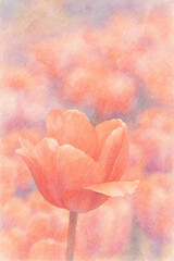 Soft Pink Tulip &ndash; AI Enhanced Watercolor Style Floral Art

