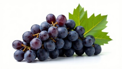 Fototapeta premium Fresh Purple Grapes with Dewdrops and Green Leaf Displayed
