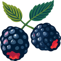 Blackberries on a vine showcase vibrant color and freshness in a clean design