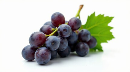 Fototapeta premium Fresh Purple Grapes with Dewdrops and Green Leaf Displayed