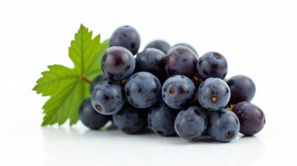 Fresh Purple Grapes with Dewdrops and Green Leaf Displayed