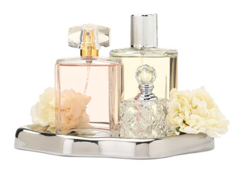 Many different perfume bottles and roses isolated on white