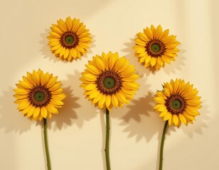 Obraz premium chic display of sunflowers in a minimalist style, using mustard yellow and beige colors, soft shadows, clean contours, sleek design, high resolution