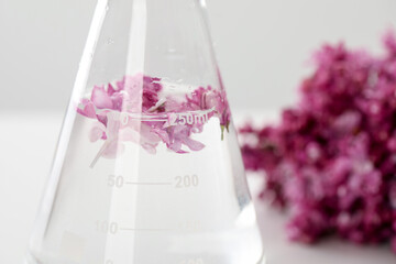 Making luxury perfume. Essential oil in flask and flowers on table, closeup