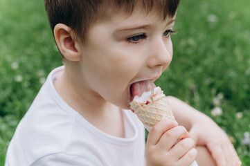 Smiling boy enjoying ice cream in a waffle cup on a sunny summer day.