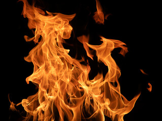 Vibrant Orange Flames Dancing on Black Background