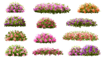 Vertor set of spring blossom tree,bloomimg plants side view for landscape elevation and section,eco environment concept design,watercolor illustration,colorful season