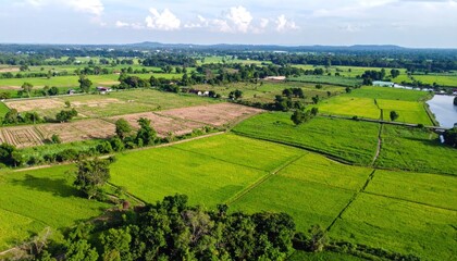 Naklejka premium Aerial view reveals vibrant farmlands interlocked with lush vegetation and rural landscape
