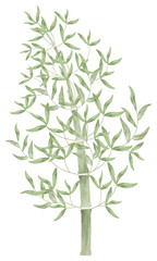 水彩で描いたシンプルな竹のイラスト