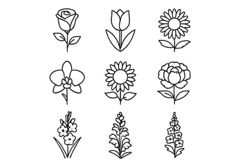 Fototapeta premium Floral Line Art Collection