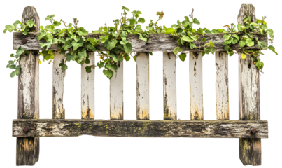 Weathered fence with climbing vegetation creating a rustic aesthetic image