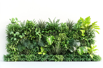 Lush Green Tropical Plant Wall Vertical Garden Design for Interior Decor