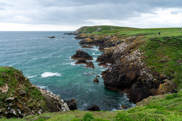 Saltee Islands Schroffe Küstenlandschaft mit Seevogelkolonien