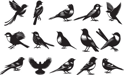 Obraz premium set of bird silhouettes