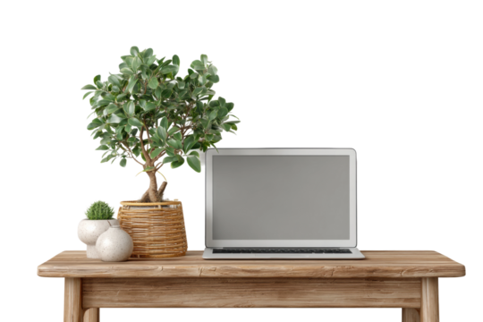 PNG Modern workspace with laptop, potted plants on wooden desk