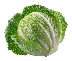 Harvesting fresh green cabbage in organic farm natural environment fresh produce isolated on transparent background