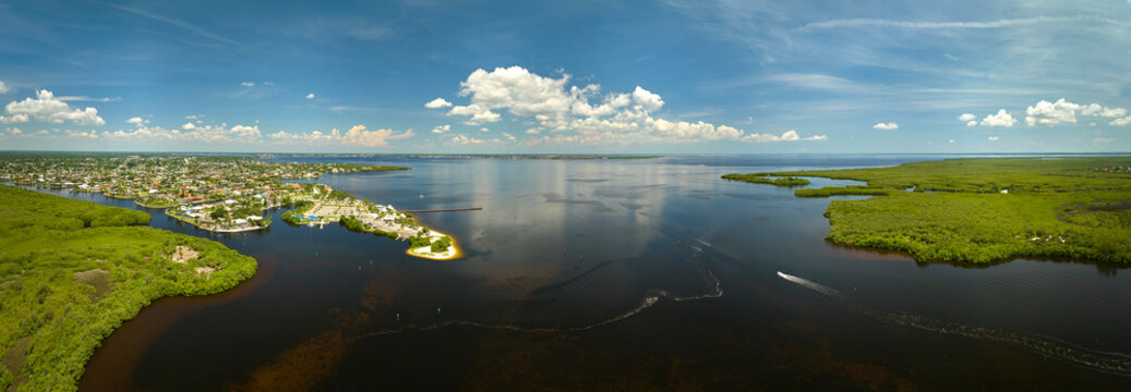 Fototapeta Overhead view of Everglades swamp with green vegetation between water inlets and rural private houses. Natural habitat of many tropical species in Florida wetlands