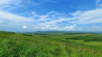 Fototapeta premium Enchanting Scenery of Lush Green Grassland under a Vast Blue Sky with Floating White Clouds: A Serene Natural Tapestry