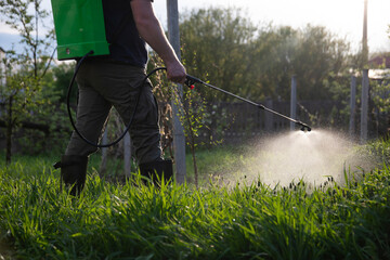Farmer spraying fertilizer.  Pest control and plant diseases to obtain a large harvest