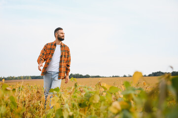 Farmer monitoring crops standing in soy field. Agronomist surveying land