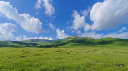 Obraz premium Enchanting Scenery of Lush Green Grassland under a Vast Blue Sky with Floating White Clouds: A Serene Natural Tapestry