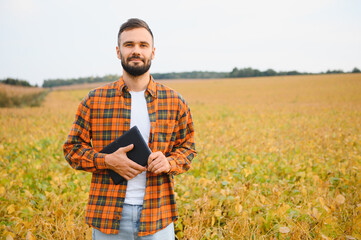 Farmer agronomist in soybean field checking crops before harvest. Organic food production and cultivation
