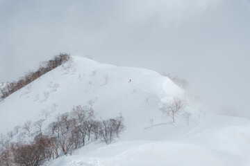 冬山