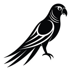 elegant parrot bird silhouette black and white