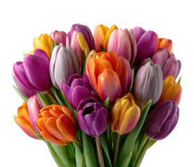 Fototapeta premium Colorful tulip bouquet showcase floral arrangement home view isolated on transparent background