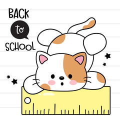 back to school cute cat kitten with ruler school suppliers kawaii animal