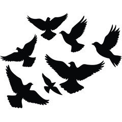 vector illustration of a dove