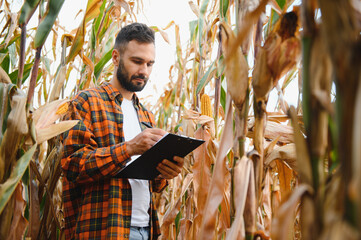 A young agronomist inspects the quality of the corn crop on agricultural land