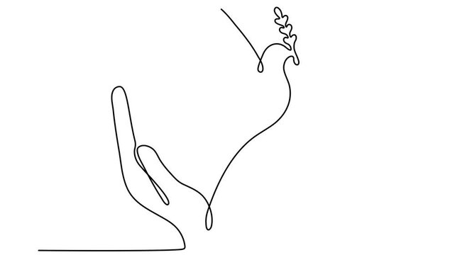 Continuous line drawing hands with flying dove and olive branch animation. Freedom linear bird symbol animated video.