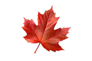 Red Maple Leaf