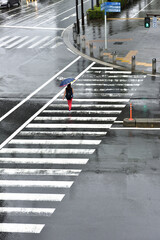 雨の日にみなとみらいの横断歩道を渡る赤いパンツの女性