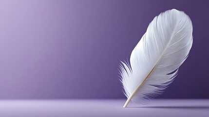 Obraz premium Weightless white feather suspended against lavender backdrop