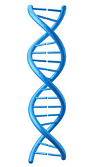 Detailed 3d model of a blue dna structure isolated on a transparent background for scientific and educational purposes, Transparent background PNG