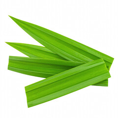 Vibrant bunch of fresh pandan leaves isolated on a transparent background for culinary use and natural fragrance in cooking and baking, Transparent background PNG