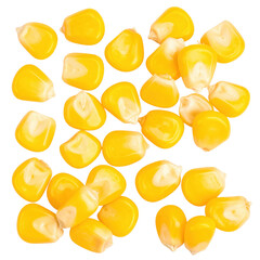 Fototapeta premium Pile of yellow corn kernels isolated on transparent background for agricultural and culinary use in food products and recipes, Transparent background PNG